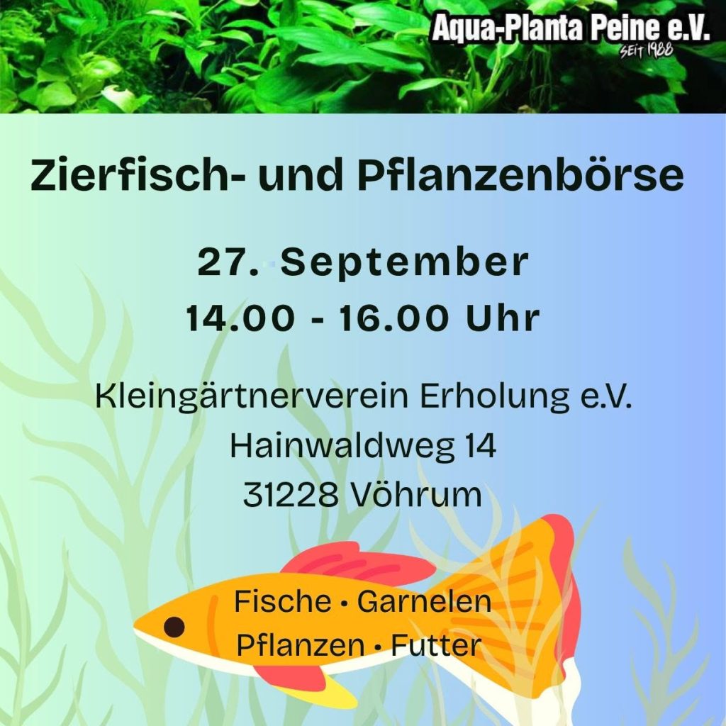 Ankündigung Zierfischbörse Peine am 27.09.2026 von 14 Uhr bis 16 Uhr im Kleingärtnerverein Erholung e.V., Hainwaldweg 14, 31228 Vöhrum